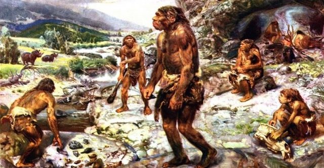 زندگی نئاندرتال‌ها از آغاز تا انقراض - قسمت 2